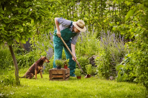 Choosing the right professional hedge trimming service in Edmonton