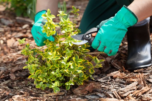 Crew applying colour-coded waste separation at site