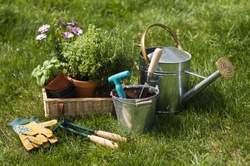 Expert lopping to shape and maintain tree health