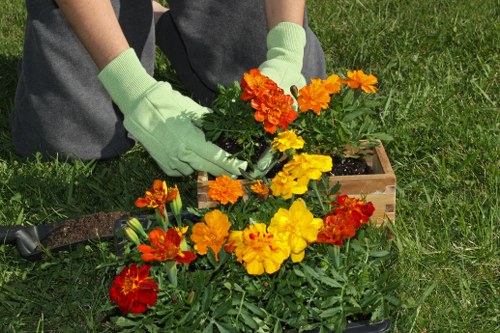 Essential tools for effective hedge trimming