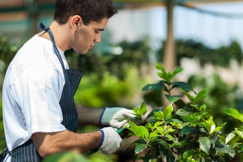 Eco-friendly landscaping features in Edmonton