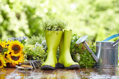 Benefits of garden clearance including disease prevention and improved plant health.