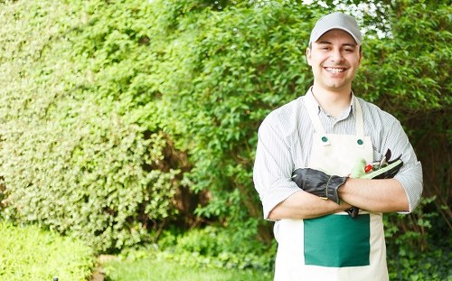 Professional lawn care service working on an Edmonton property