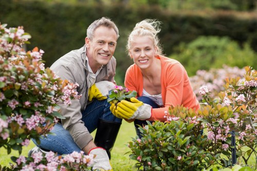 A smiling middle-aged man and woman are tending to a garden with vibrant, pink flowering bushes and lush green foliage in the background, suggesting a well-maintained outdoor space in Edmonton. The man, wearing a light grey jacket and blue jeans, and the woman, dressed in a coral blazer and white top, both wearing yellow gardening gloves, are crouched in the garden bed. They are positioned among neatly arranged shrubs and flowering plants, with the woman's hand resting on a flowering bush. The garden features flowering shrubs with pink blossoms, green leafy plants, and a background of well-trimmed hedges and trees, under clear weather with natural sunlight. The scene depicts an active outdoor garden maintenance activity typical of seasonal landscaping in the area, reflecting the services provided by Hedge Trimming Edmonton in maintaining and enhancing garden aesthetics for residential properties.